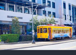 Tampa public bus